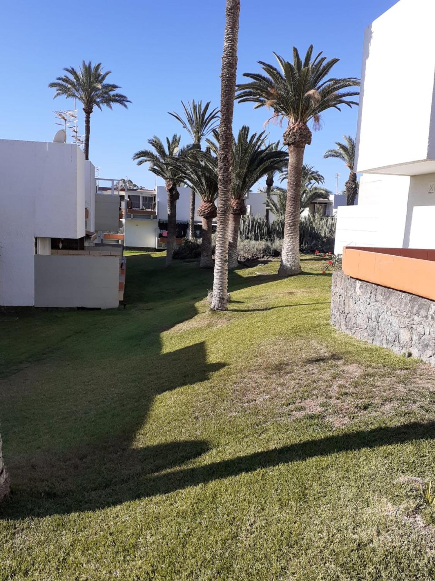 Precioso Apartamento Costa Del Silencio Exteriör bild